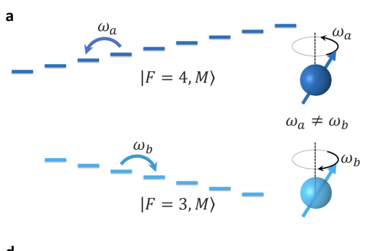 Researchers Say New Method Can Protect Quantum Spins From Noise